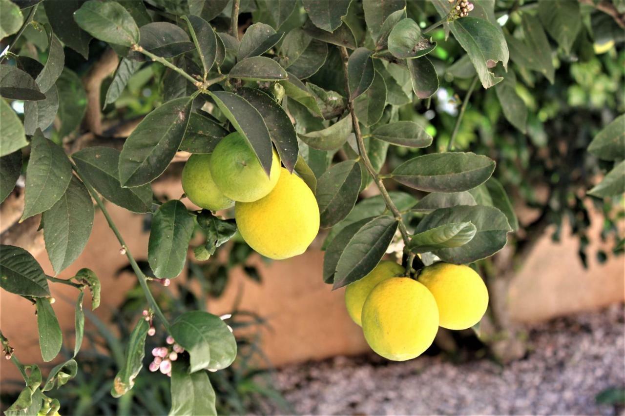 Casa Carinha Βίλα Λάγος Εξωτερικό φωτογραφία